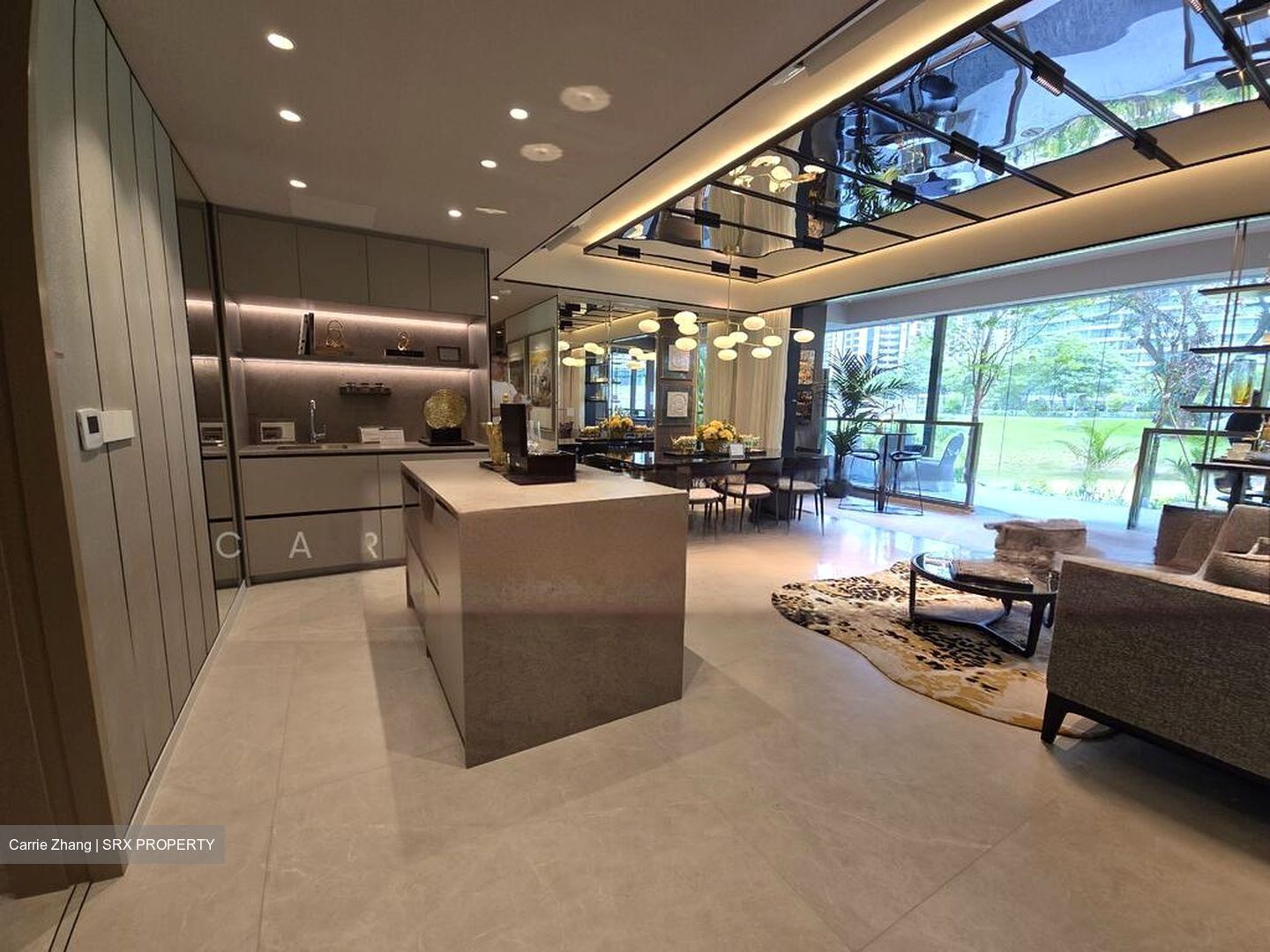 Zion Road (D3), Condominium #503324271